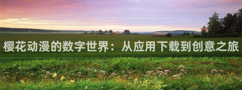 囧次元app：樱花动漫的数字世界：从应用下载到创意之旅