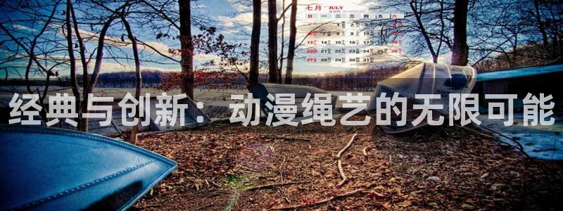 囧次元为什么打不开了：经典与创新：动漫绳艺的无限可能