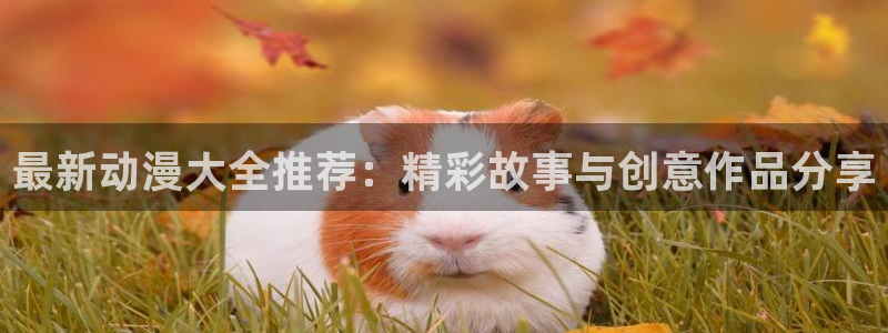 囧次元网站：最新动漫大全推荐：精彩故事与创意作品分享