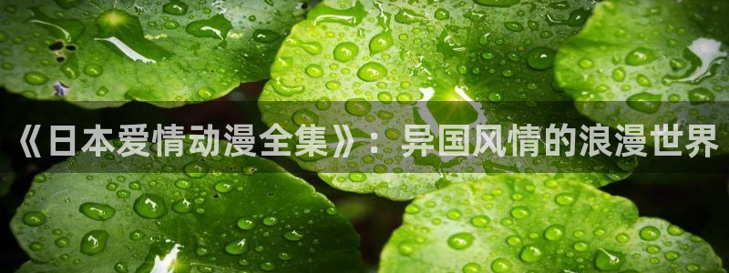 囧次元app最新版本：《日本爱情动漫全集》：异国风情的浪漫世界