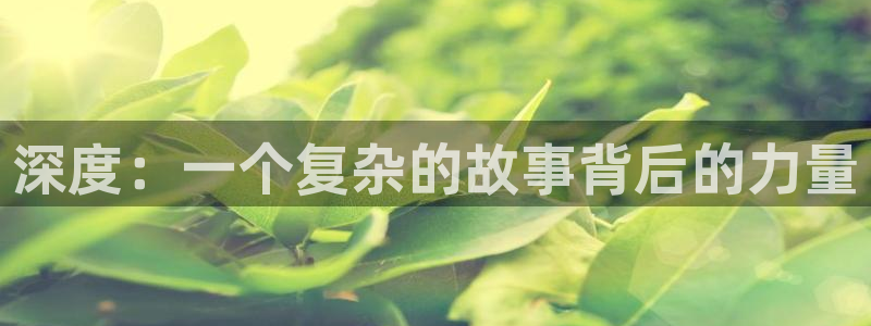 囧次元app官方：深度：一个复杂的故事背后的力量