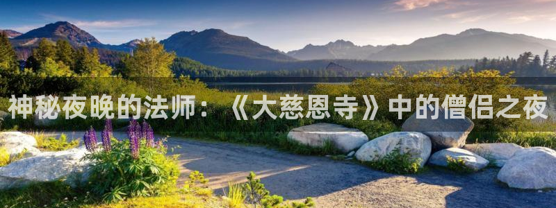 囧次元网站入口：神秘夜晚的法师：《大慈恩寺》中的僧侣之夜