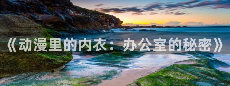 囧次元在哪下：《动漫里的内衣：办公室的秘密》